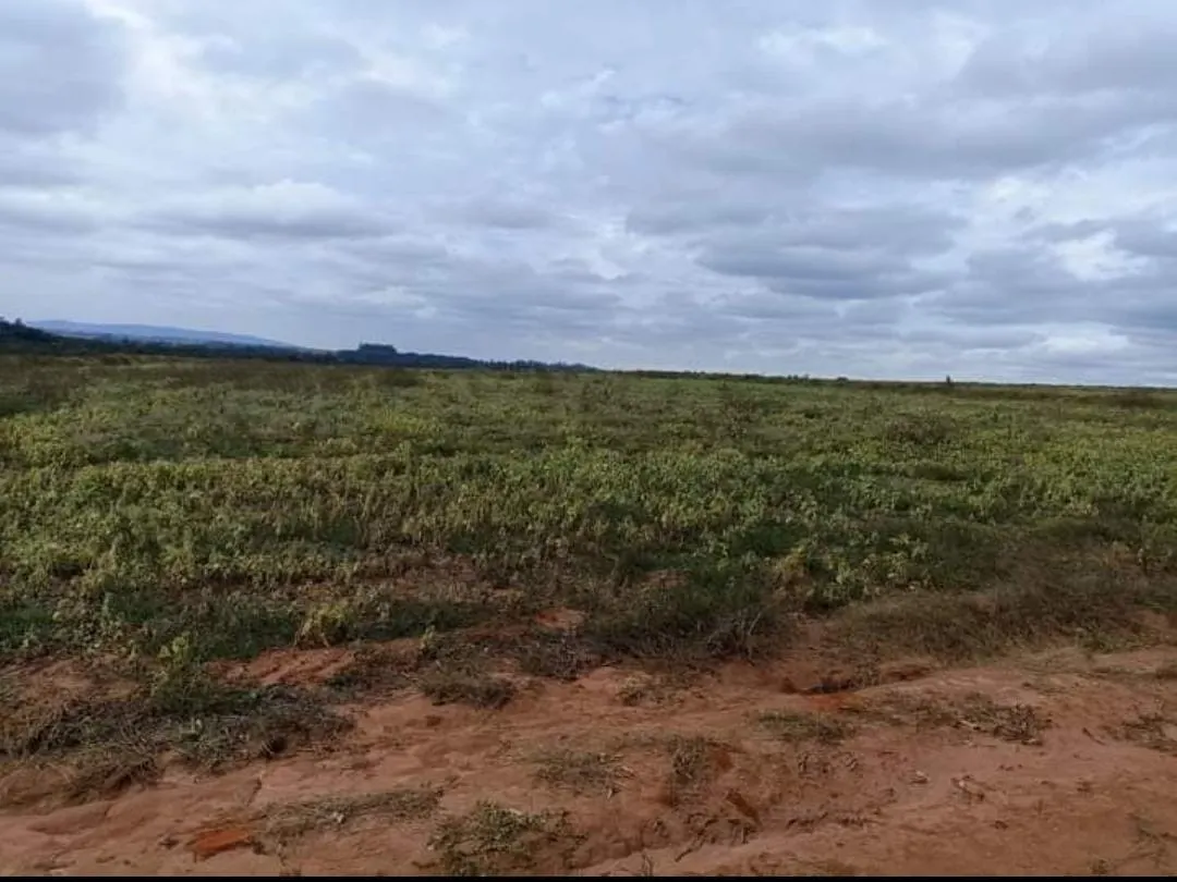 Sítio à venda de 90 ha em Itapetininga, SP, Brasil