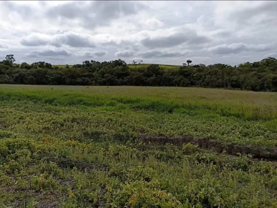 Sítio à venda de 90 ha em Itapetininga, SP, Brasil