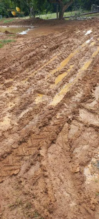 Farm for sale of 18,360 acres in Nobres, MT, Brazil