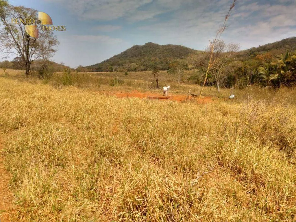 Farm for sale of 1,557 acres in Itiquira, MT, Brazil
