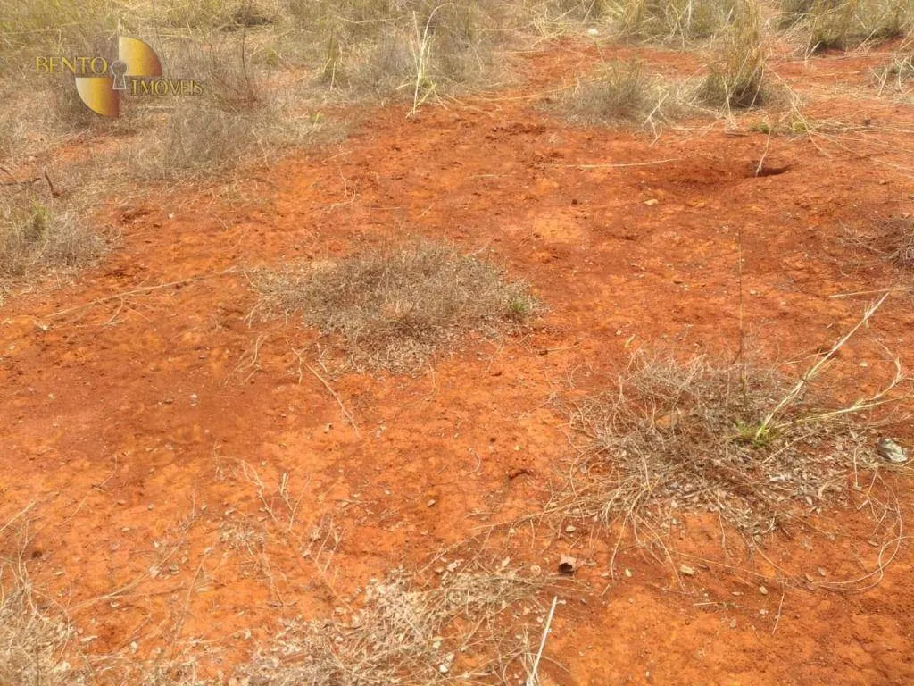 Farm for sale of 1,557 acres in Itiquira, MT, Brazil