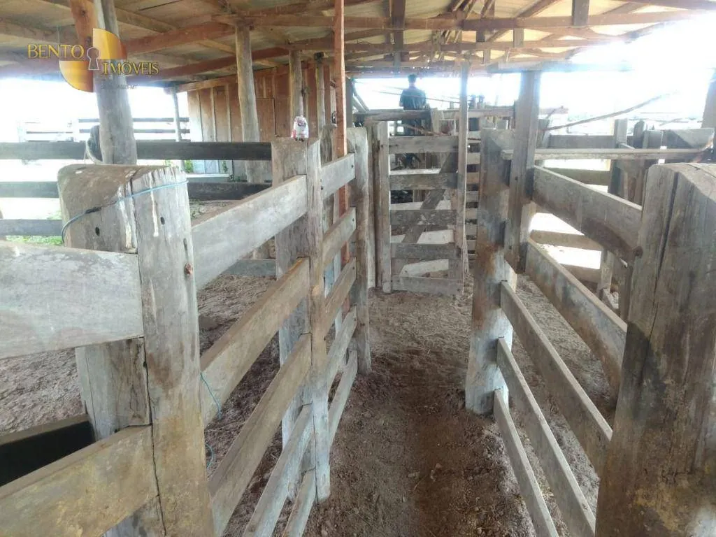 Farm for sale of 1,557 acres in Itiquira, MT, Brazil
