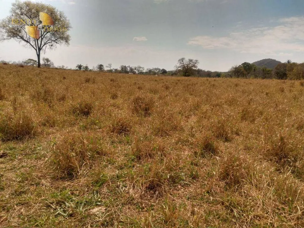 Farm for sale of 1,557 acres in Itiquira, MT, Brazil