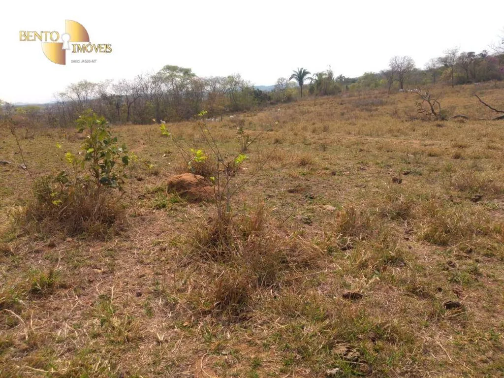 Farm for sale of 1,557 acres in Itiquira, MT, Brazil