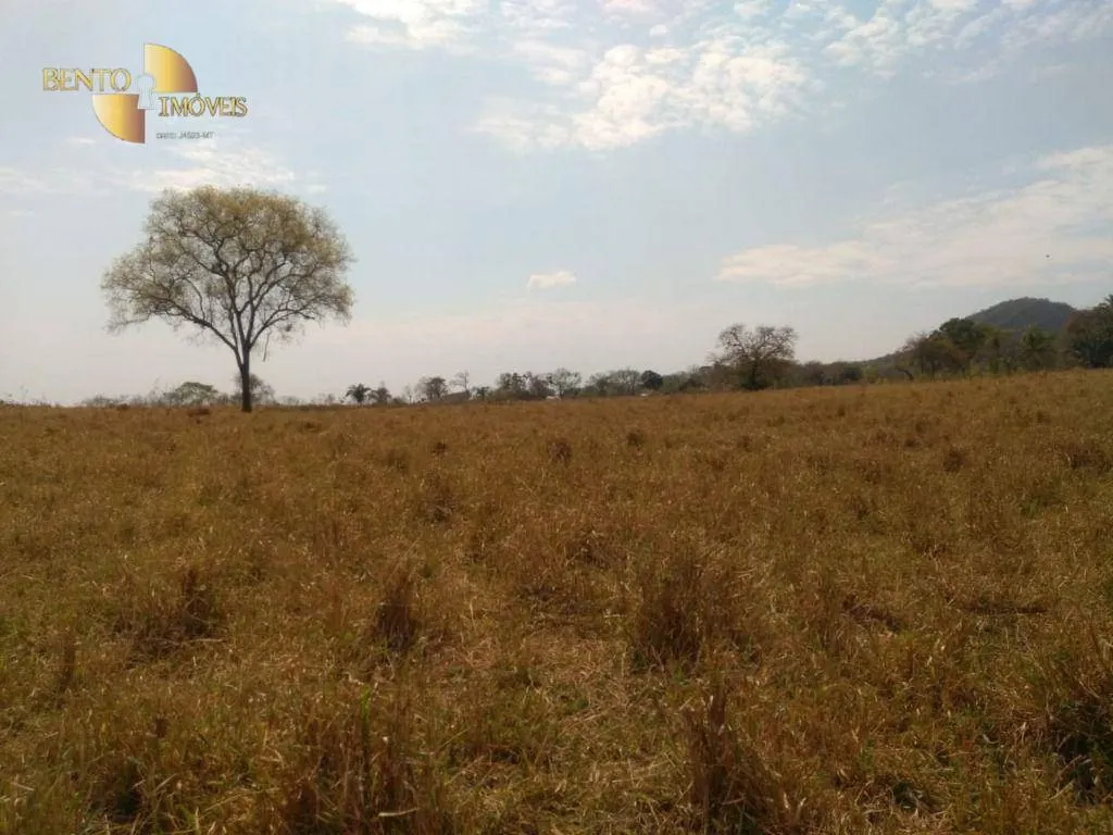 Farm for sale of 1,557 acres in Itiquira, MT, Brazil