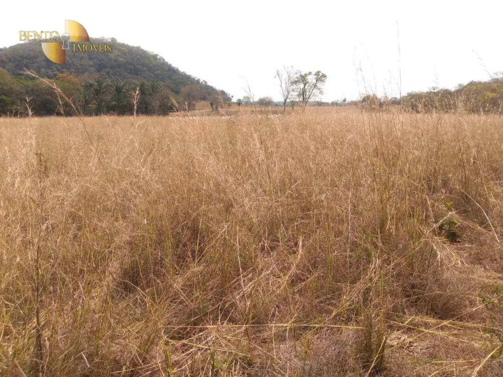 Farm for sale of 1,557 acres in Itiquira, MT, Brazil