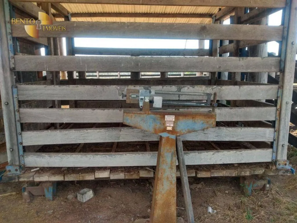 Farm for sale of 1,557 acres in Itiquira, MT, Brazil