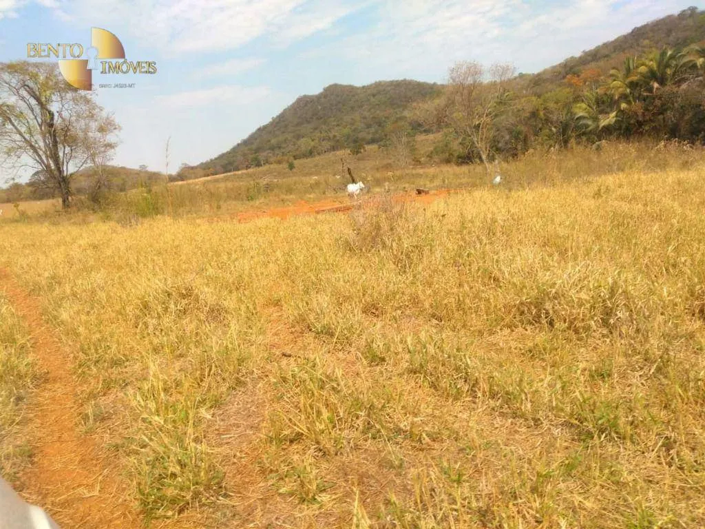 Farm for sale of 1,557 acres in Itiquira, MT, Brazil