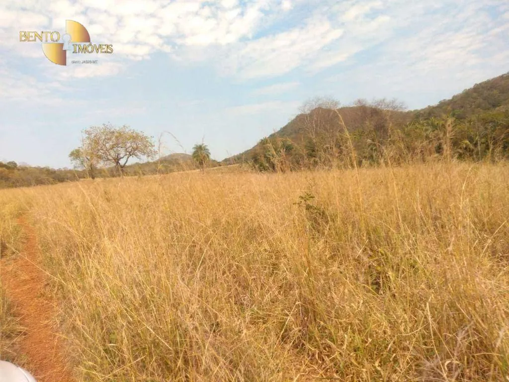 Farm for sale of 1,557 acres in Itiquira, MT, Brazil