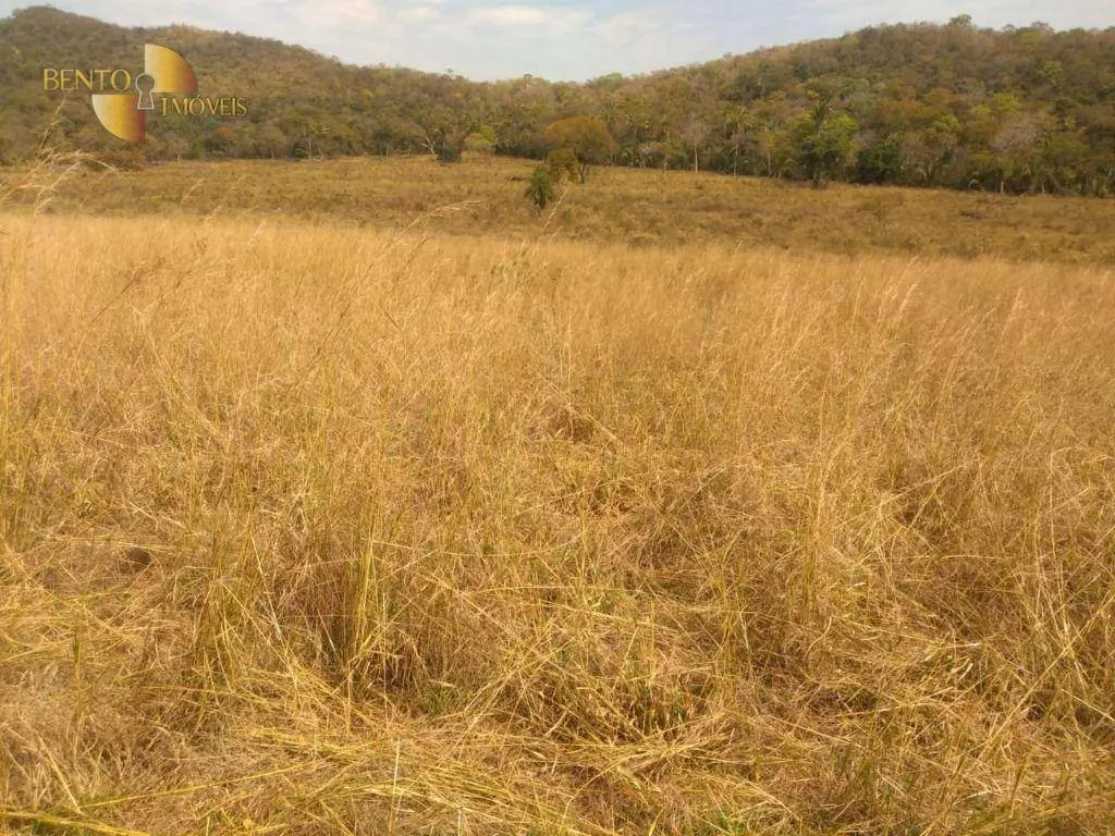Farm for sale of 1,557 acres in Itiquira, MT, Brazil