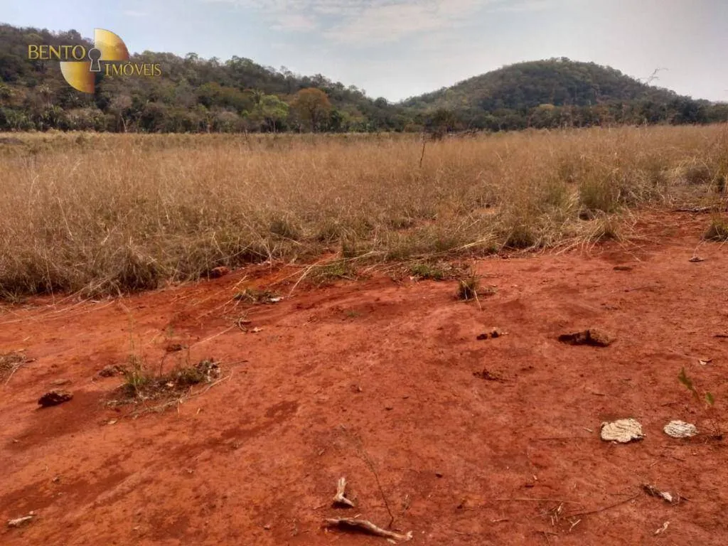 Farm for sale of 1,557 acres in Itiquira, MT, Brazil