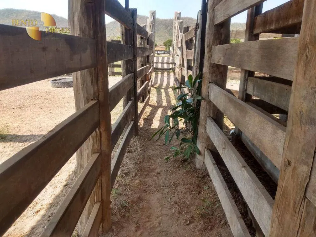 Farm for sale of 1,557 acres in Itiquira, MT, Brazil