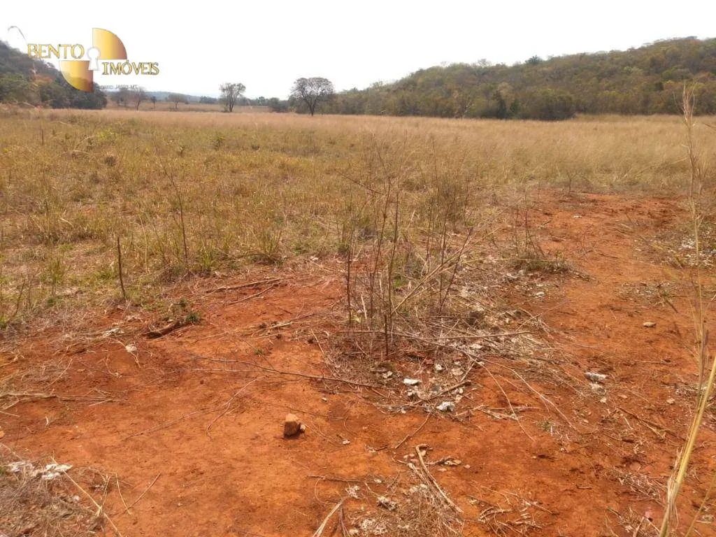 Farm for sale of 1,557 acres in Itiquira, MT, Brazil