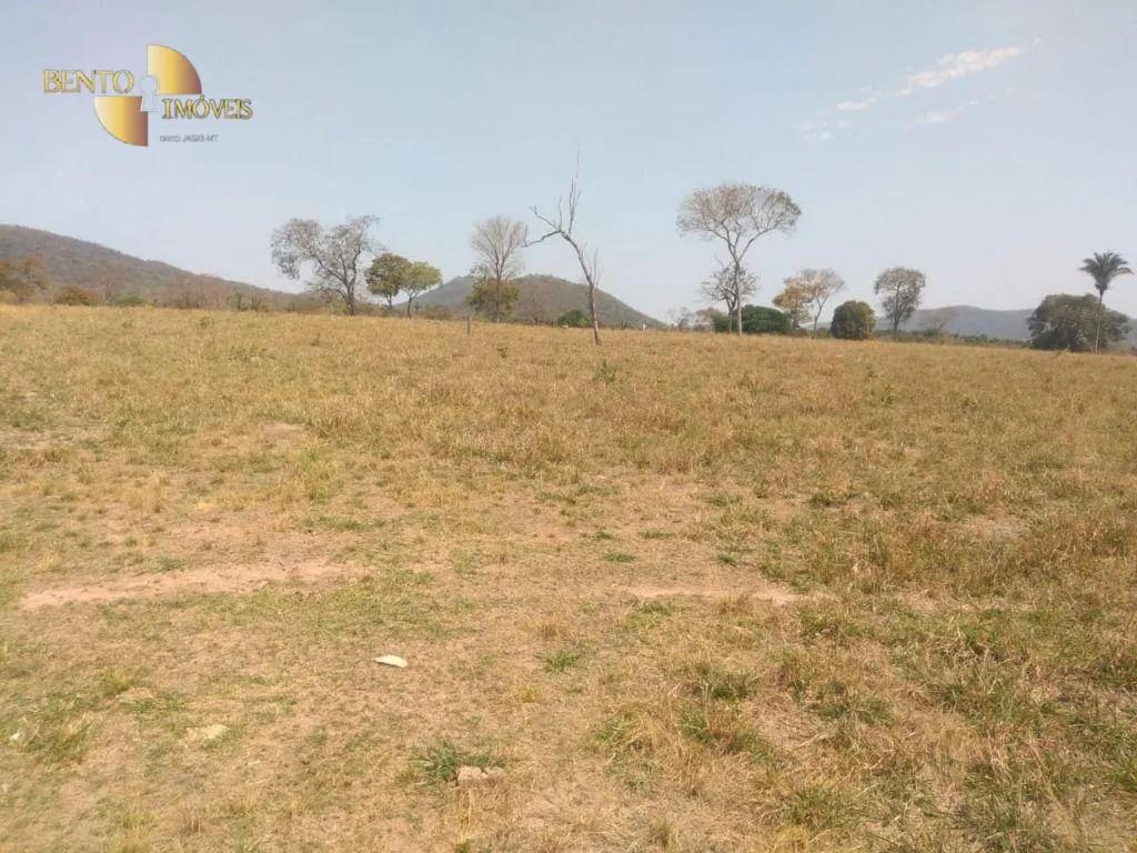 Farm for sale of 1,557 acres in Itiquira, MT, Brazil