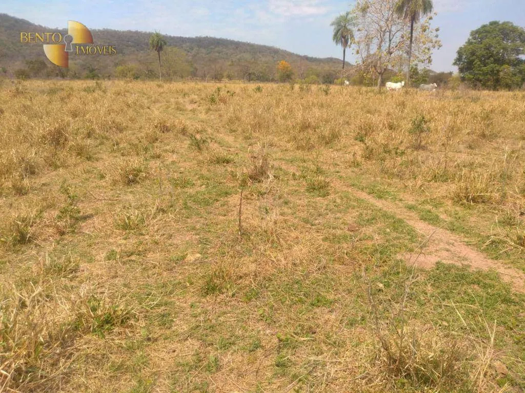 Farm for sale of 1,557 acres in Itiquira, MT, Brazil