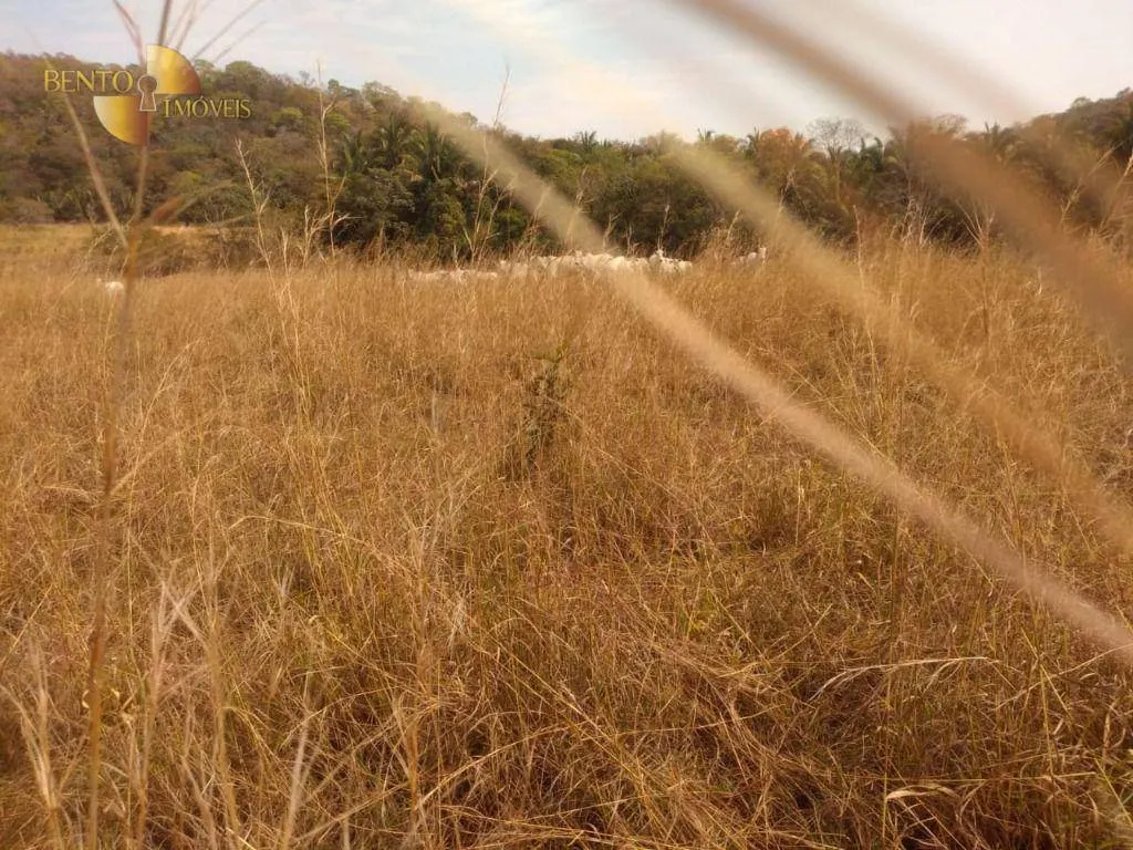 Farm for sale of 1,557 acres in Itiquira, MT, Brazil