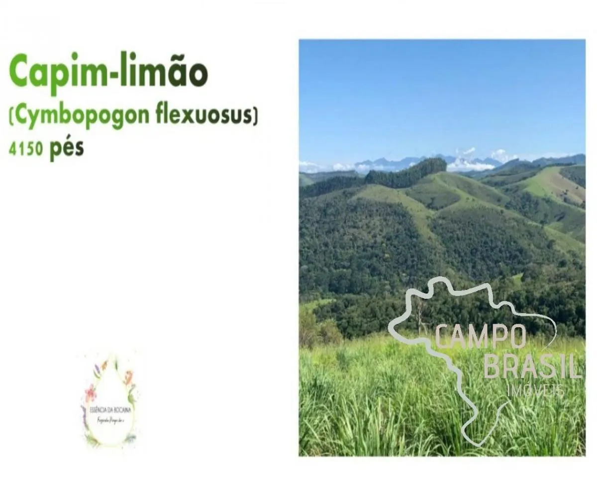 Fazenda à venda de 70 ha em Silveiras, SP, Brasil