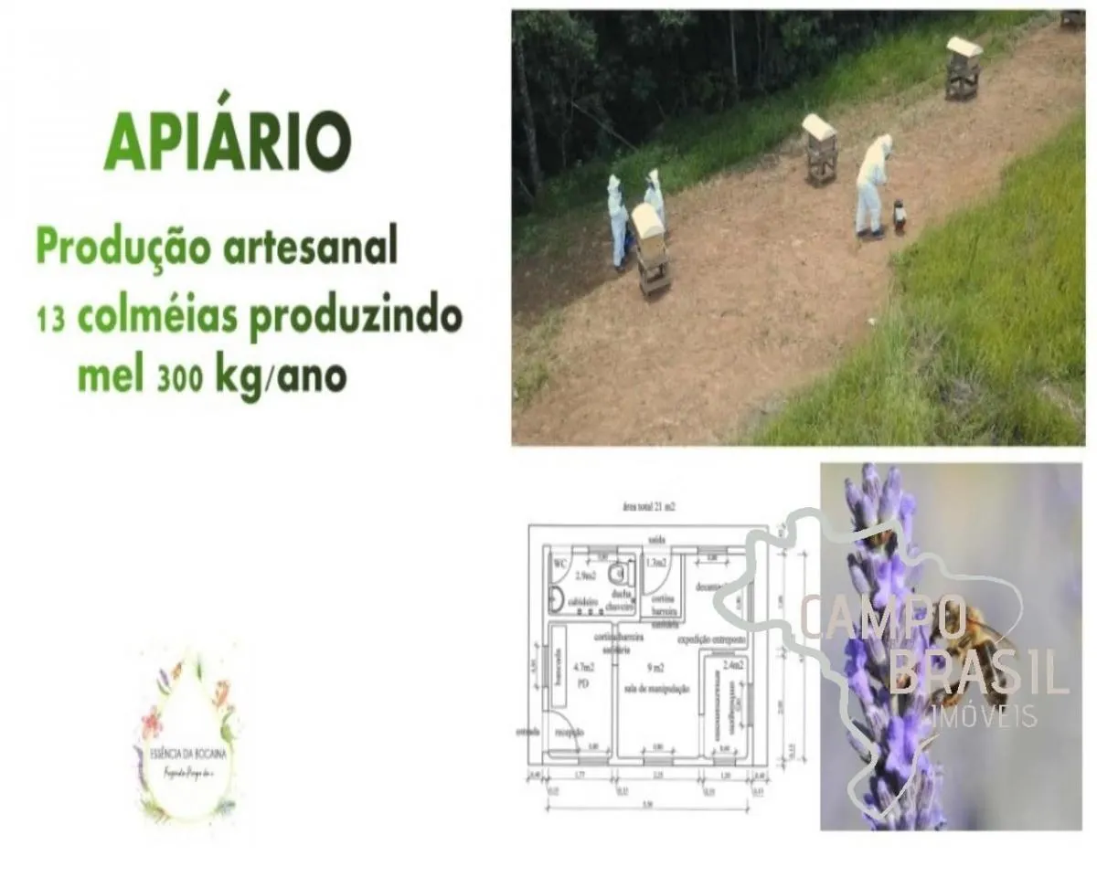 Fazenda à venda de 70 ha em Silveiras, SP, Brasil