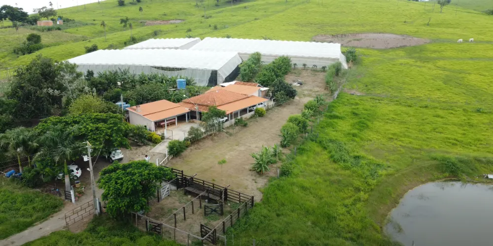 Chácara à venda de 5 ha em Ribeirão Claro, PR, Brasil