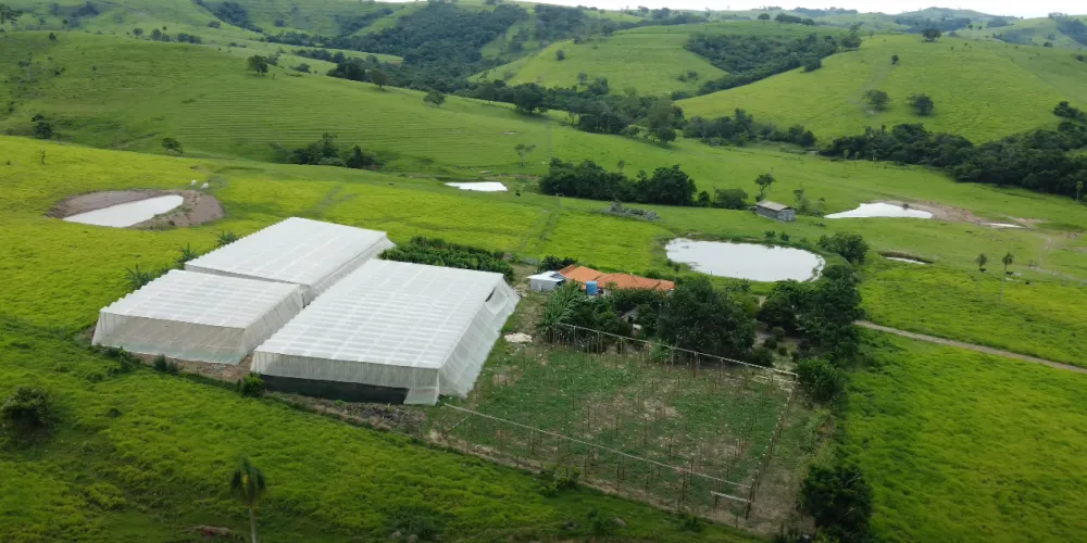 Chácara à venda de 5 ha em Ribeirão Claro, PR, Brasil