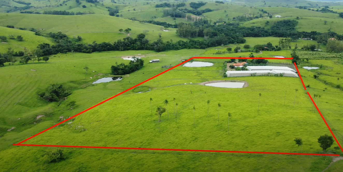 Chácara à venda de 5 ha em Ribeirão Claro, PR, Brasil