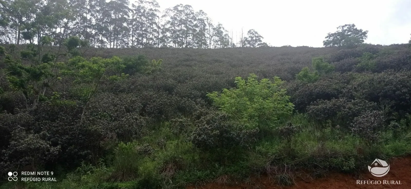 Sítio à venda de 24 ha em São José dos Campos, SP, Brasil