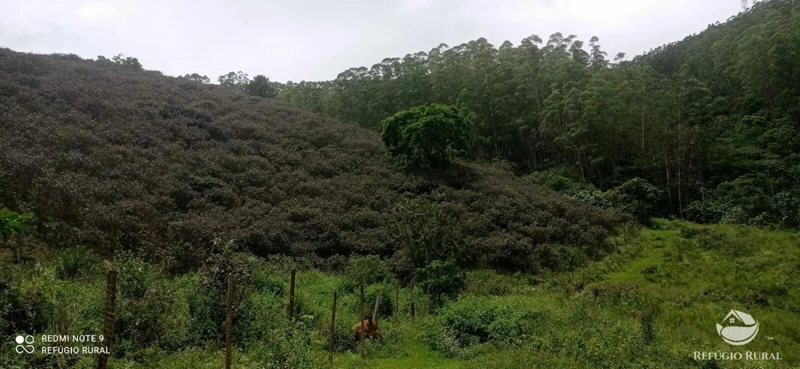 Sítio à venda de 24 ha em São José dos Campos, SP, Brasil