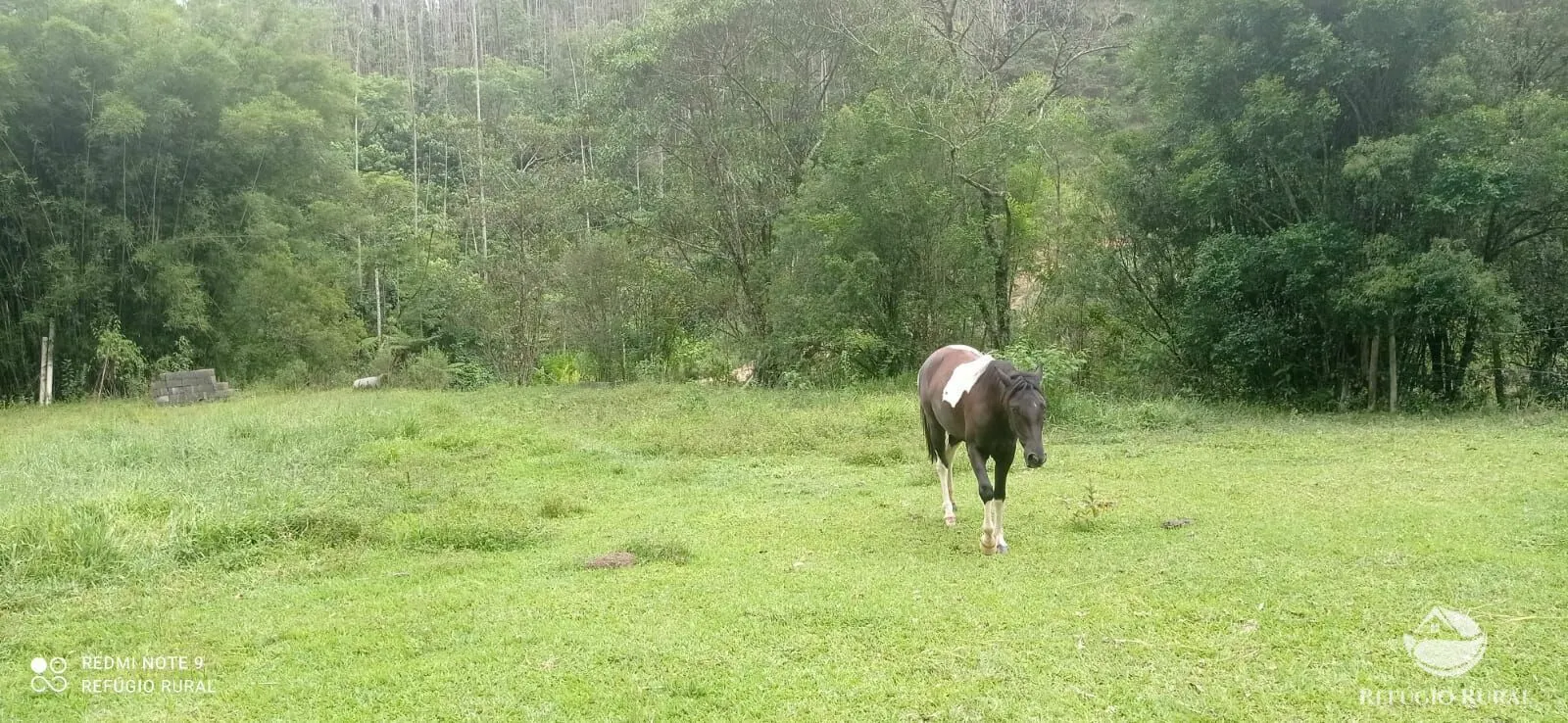 Sítio à venda de 24 ha em São José dos Campos, SP, Brasil