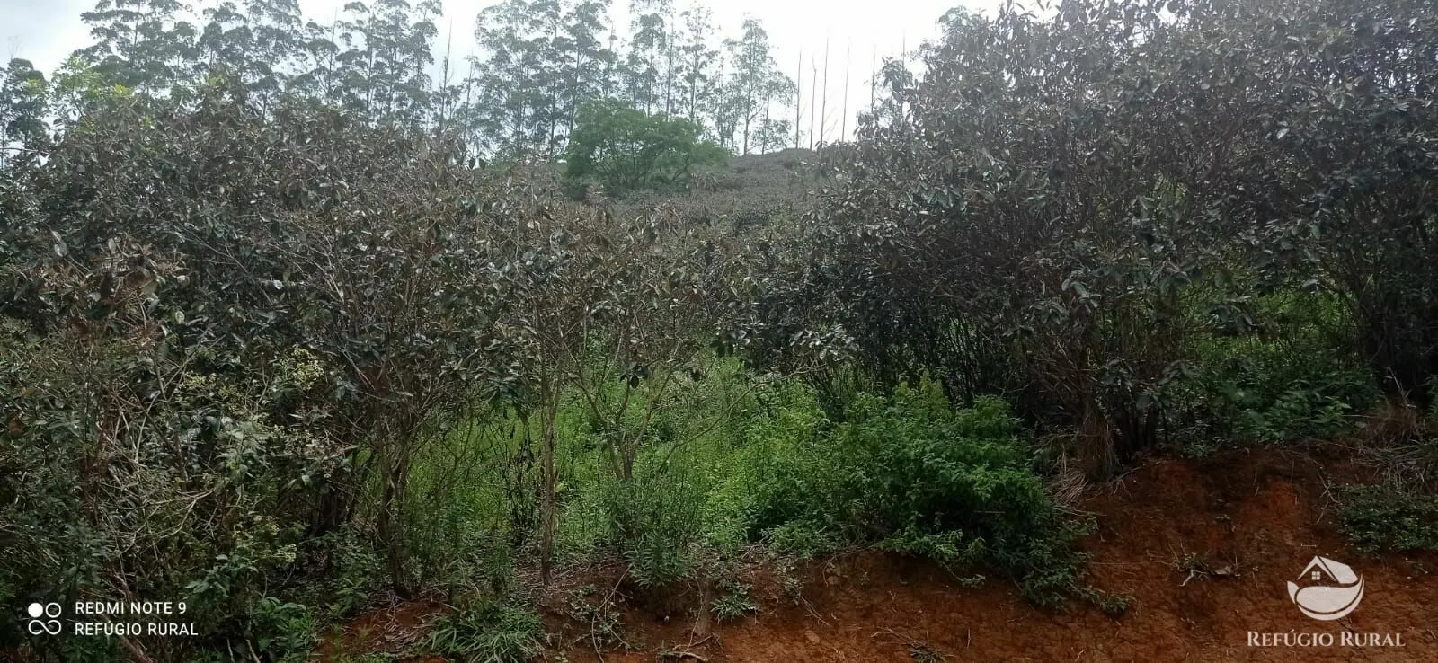 Sítio à venda de 24 ha em São José dos Campos, SP, Brasil