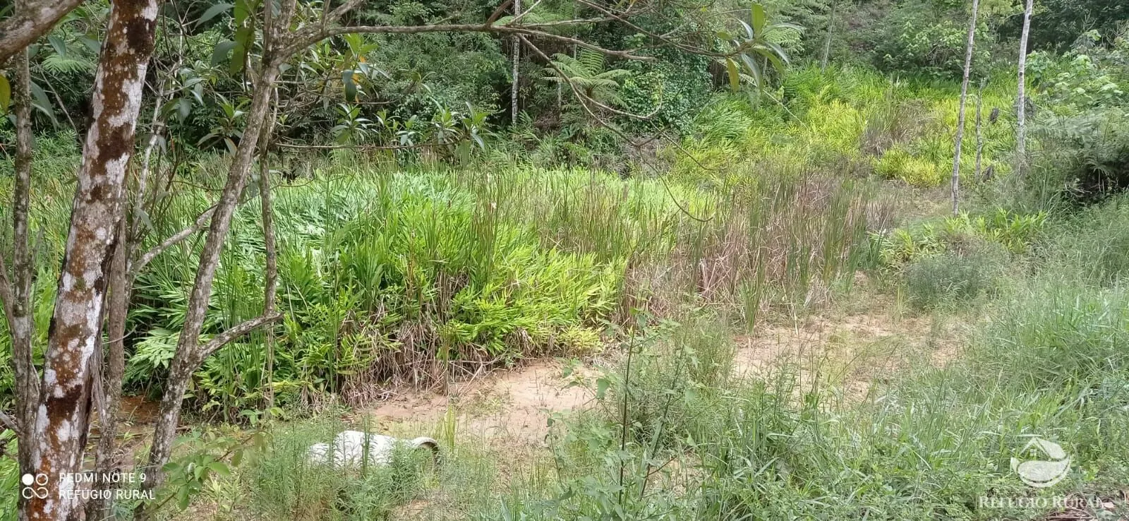 Sítio à venda de 24 ha em São José dos Campos, SP, Brasil