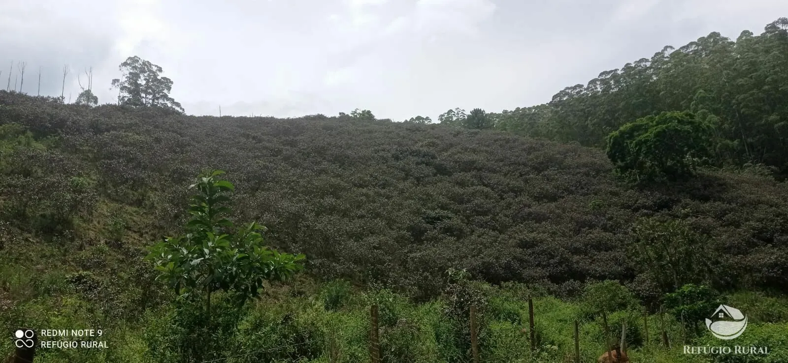 Sítio à venda de 24 ha em São José dos Campos, SP, Brasil