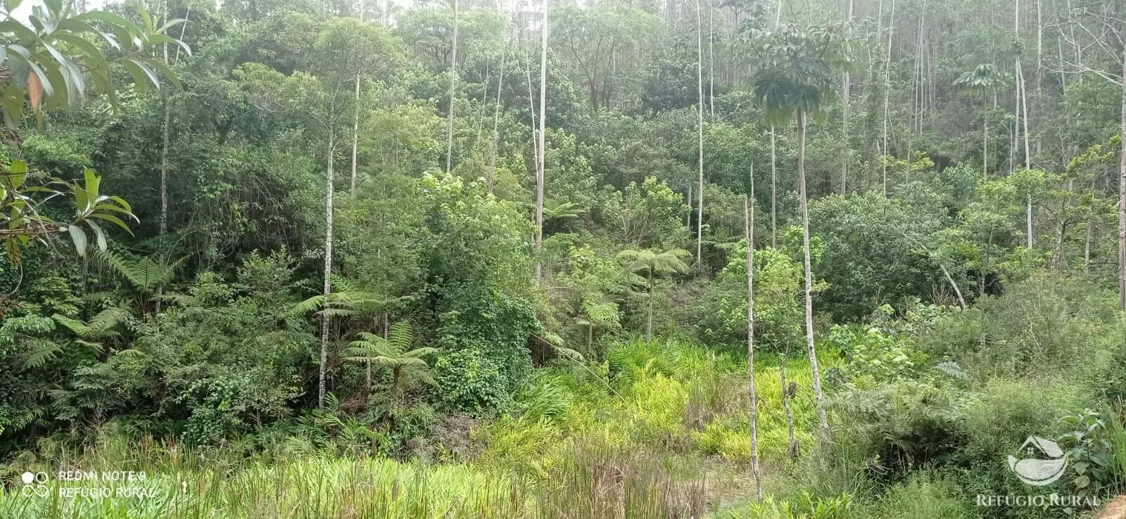 Sítio à venda de 24 ha em São José dos Campos, SP, Brasil