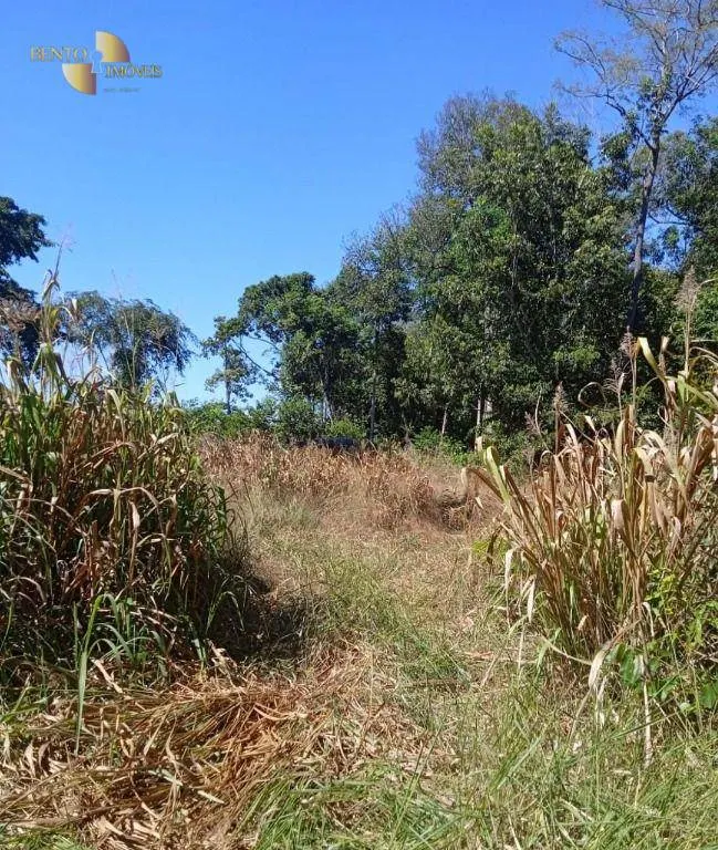 Fazenda à venda de 878 ha em Primavera do Leste, MT, Brasil