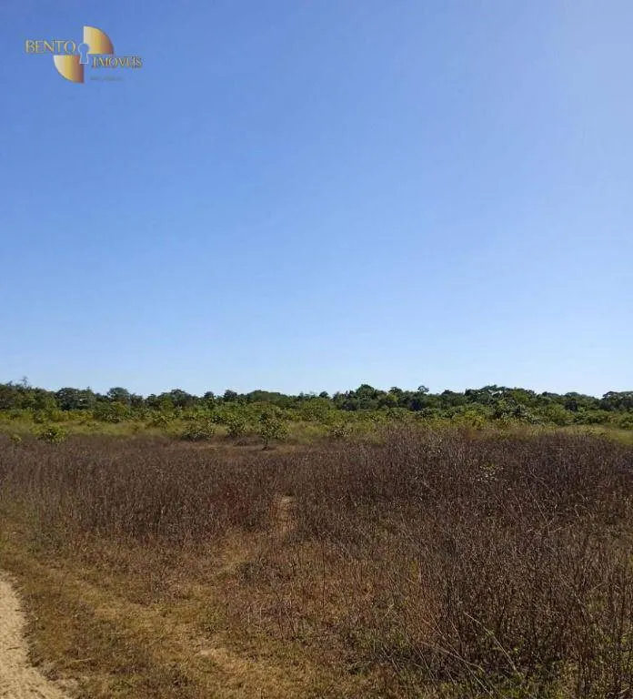 Fazenda à venda de 878 ha em Primavera do Leste, MT, Brasil