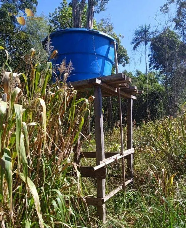 Fazenda à venda de 878 ha em Primavera do Leste, MT, Brasil