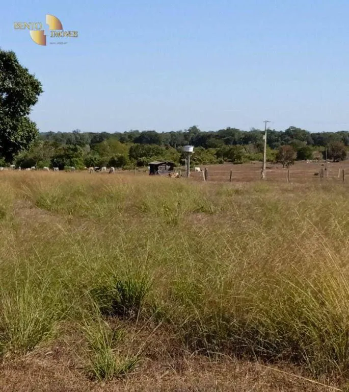 Fazenda à venda de 878 ha em Primavera do Leste, MT, Brasil