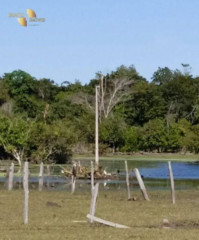 Fazenda à venda de 878 ha em Primavera do Leste, MT, Brasil