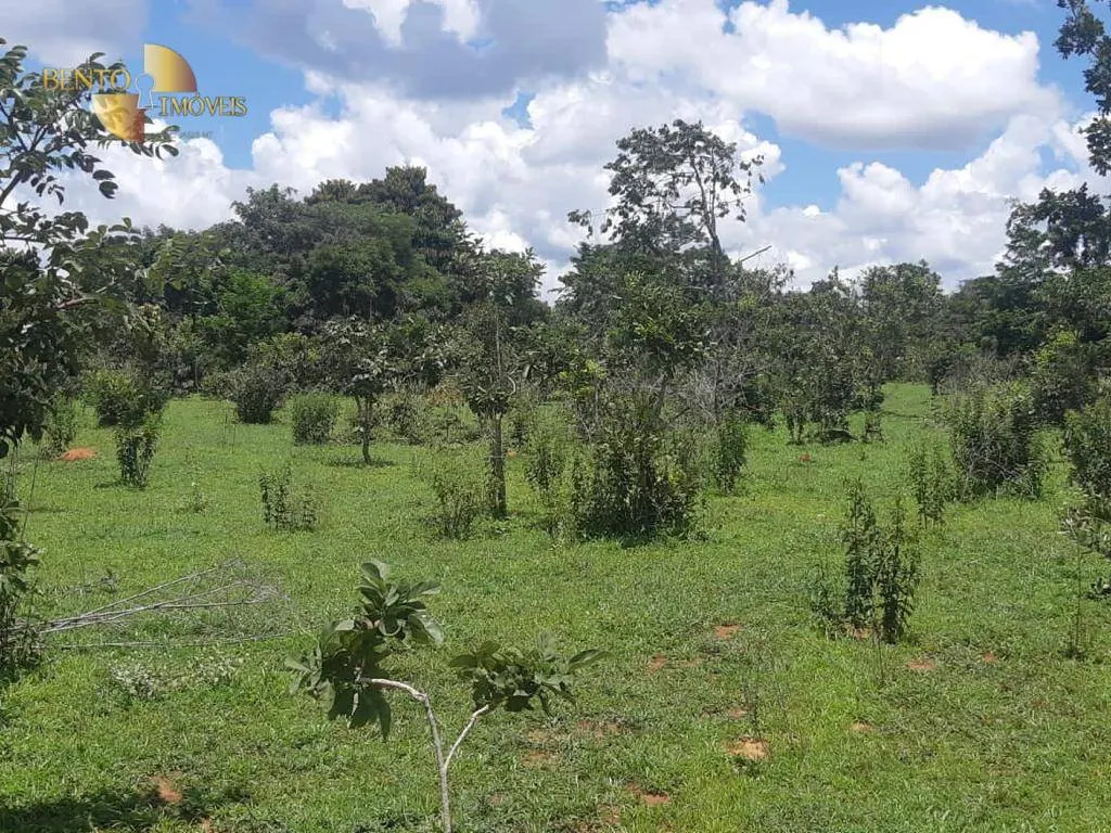 Fazenda à venda de 878 ha em Primavera do Leste, MT, Brasil