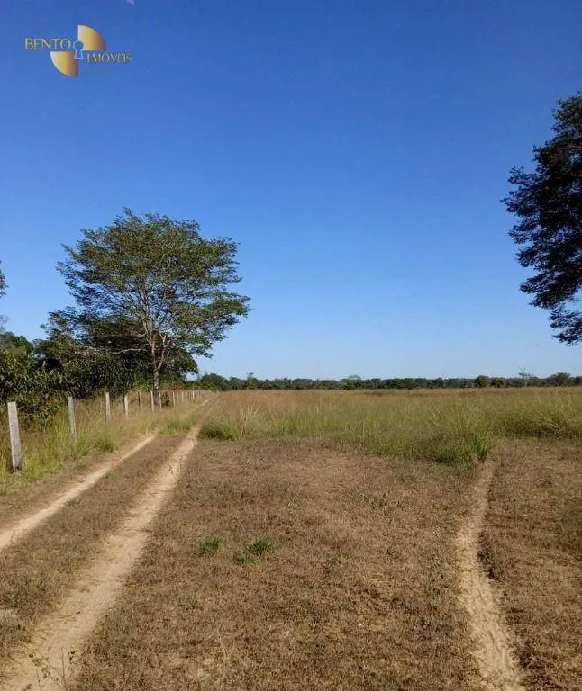Fazenda à venda de 878 ha em Primavera do Leste, MT, Brasil