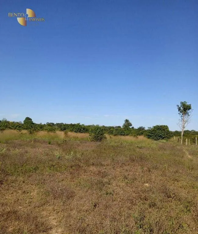 Fazenda à venda de 878 ha em Primavera do Leste, MT, Brasil