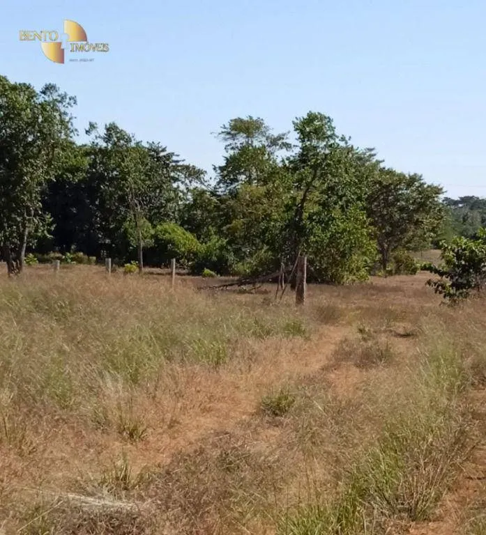Fazenda à venda de 878 ha em Primavera do Leste, MT, Brasil