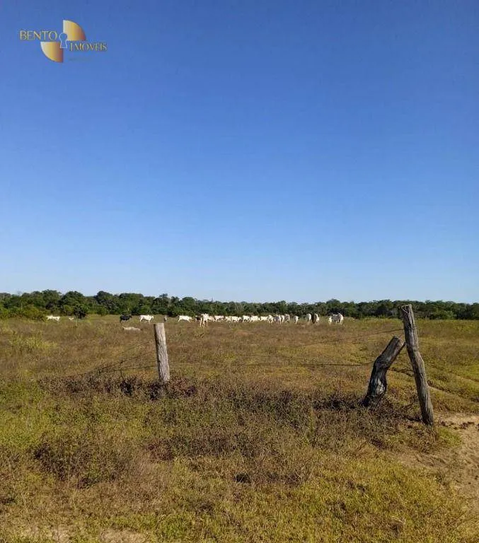Fazenda à venda de 878 ha em Primavera do Leste, MT, Brasil