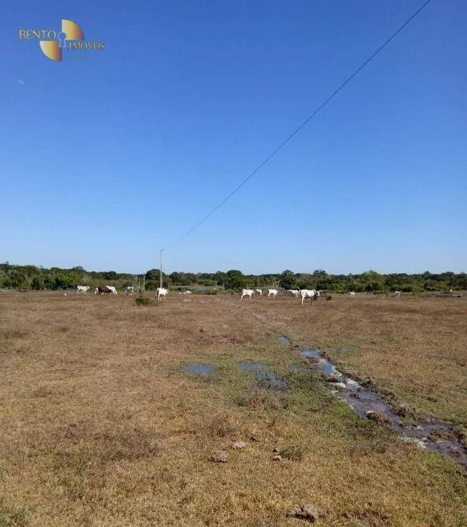 Fazenda à venda de 878 ha em Primavera do Leste, MT, Brasil