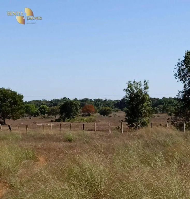 Fazenda à venda de 878 ha em Primavera do Leste, MT, Brasil