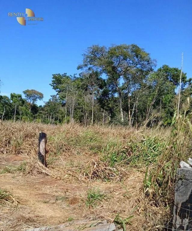 Fazenda à venda de 878 ha em Primavera do Leste, MT, Brasil