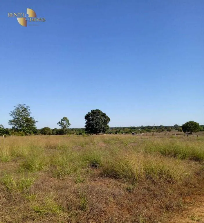 Fazenda à venda de 878 ha em Primavera do Leste, MT, Brasil