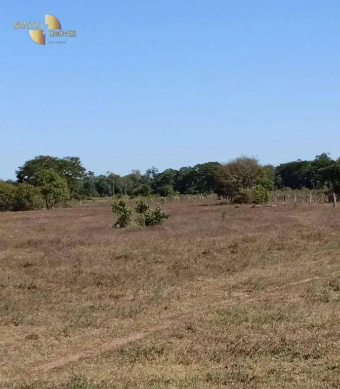 Fazenda à venda de 878 ha em Primavera do Leste, MT, Brasil