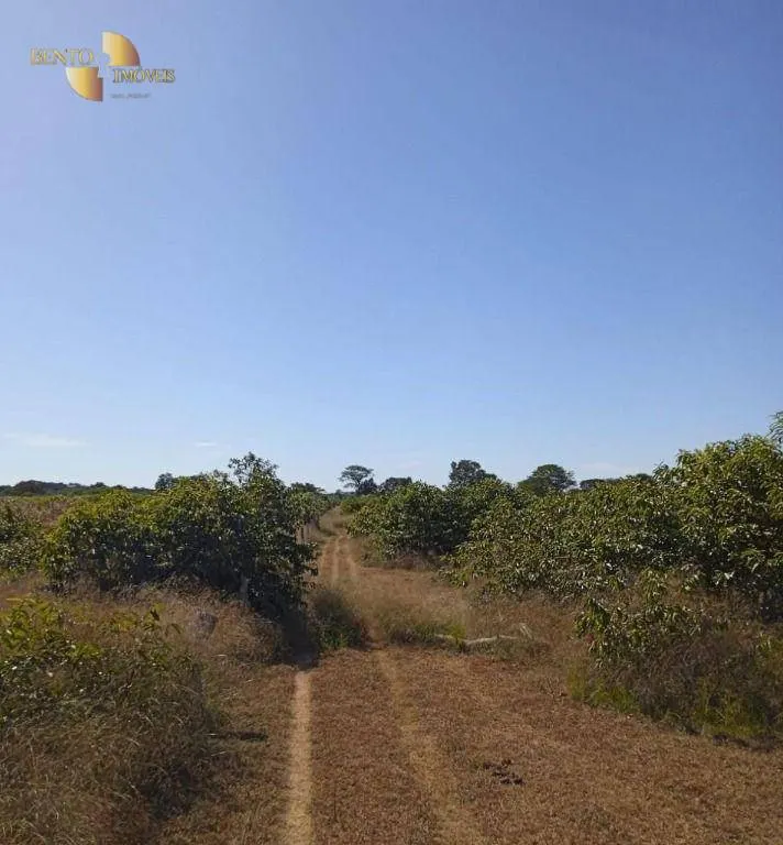 Fazenda à venda de 878 ha em Primavera do Leste, MT, Brasil