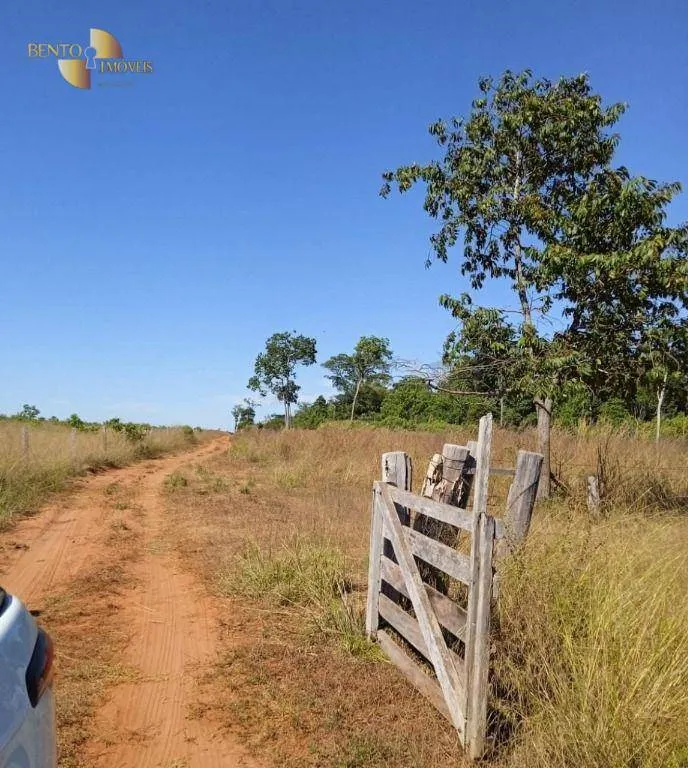 Fazenda à venda de 878 ha em Primavera do Leste, MT, Brasil