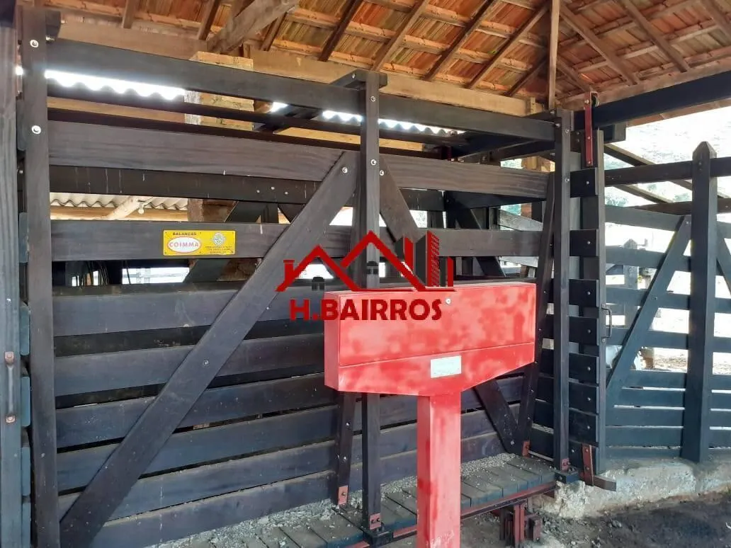 Fazenda à venda de 254 ha em Silveiras, SP, Brasil
